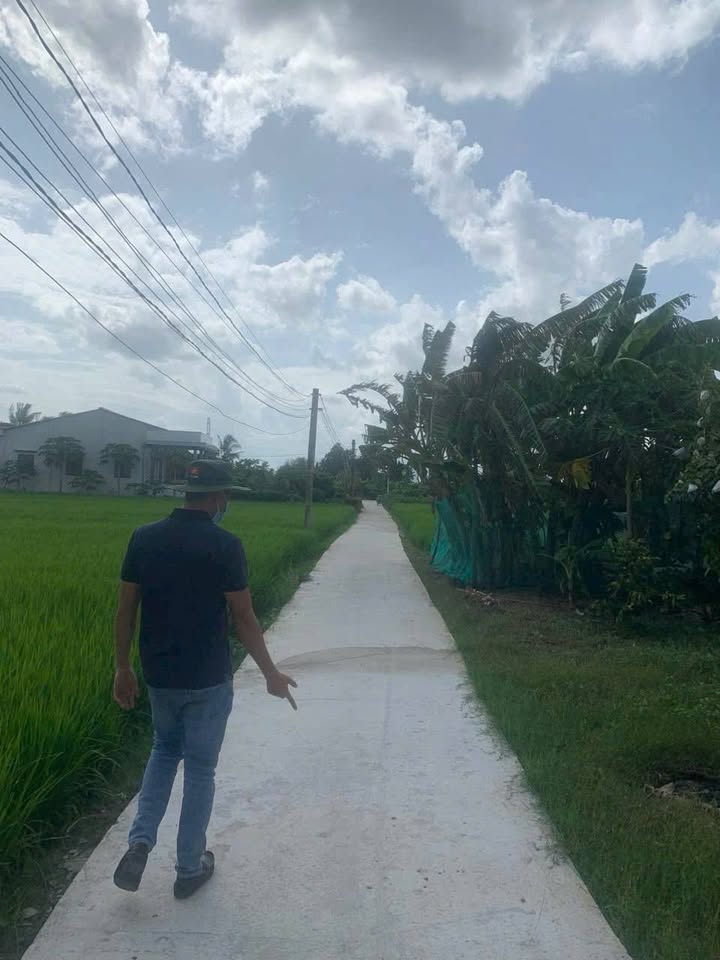 Đất vườn 687m² tại Bình Trinh, Tân Trụ chỉ 250 triệu - Đầu tư sinh lời ngay!