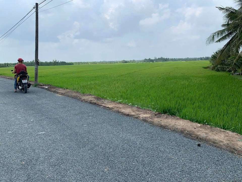 Đất ruộng mặt tiền lộ nhựa tại Vĩnh Long 6.400m² - Giá chỉ 320 triệu!
