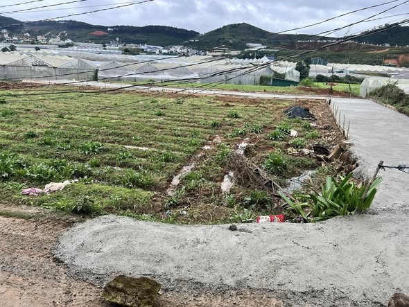 Đất nền Lạc Dương, Đà Lạt 92,7m² giá 950 triệu - Đầu tư sinh lời ngay!