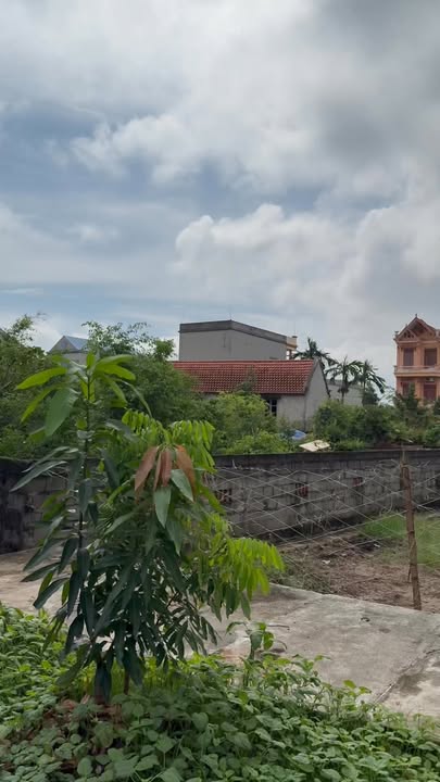 Đất nền 100m² Nghĩa Hưng giá chỉ 1.3 tỷ - Gần chợ và trường học!