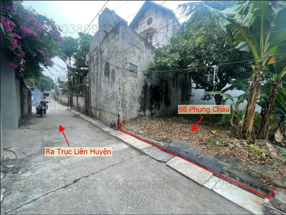 Đất nền Phụng Châu Chương Mỹ 68m² giá 3 tỷ - Đầu tư sinh lời ngay!