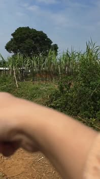 Đất nền 1761m² Phú Vinh, Tân Lạc - Giá chỉ 800 triệu, thiên nhiên tuyệt đẹp!