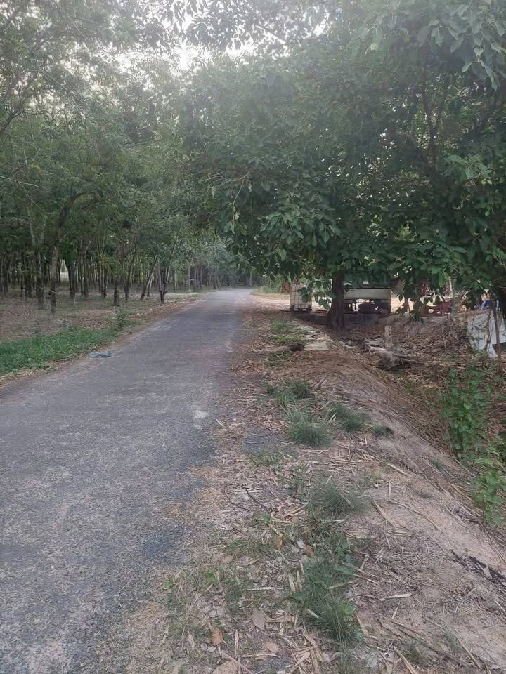 Đất Tân Tiến, Tân Lập, Tân Biên 1070m² giá 650 triệu - Cơ hội vàng đầu tư!