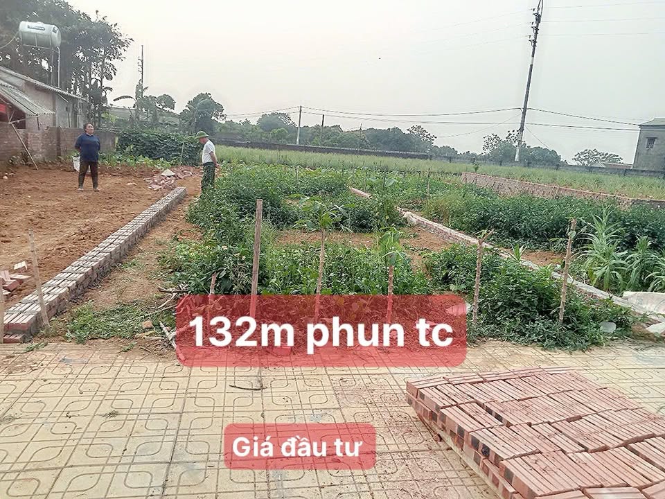 Đất nền Phú Cát, Quốc Oai 132m² giá tốt – Cơ hội đầu tư hấp dẫn!