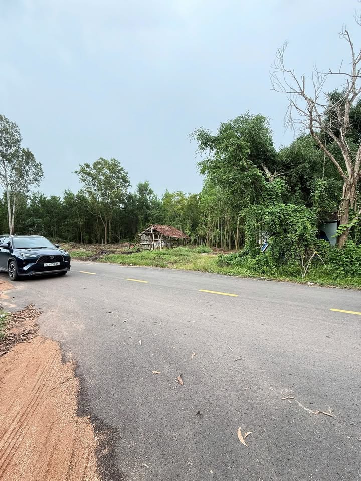 Đất nền Nhơn Tân An Nhơn 150m² giá 300 triệu - Mặt tiền đường nhựa thuận lợi!