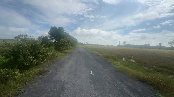 Đất thổ cư 120m² tại Tây Ninh chỉ 170 triệu - Cơ hội đầu tư giá rẻ!