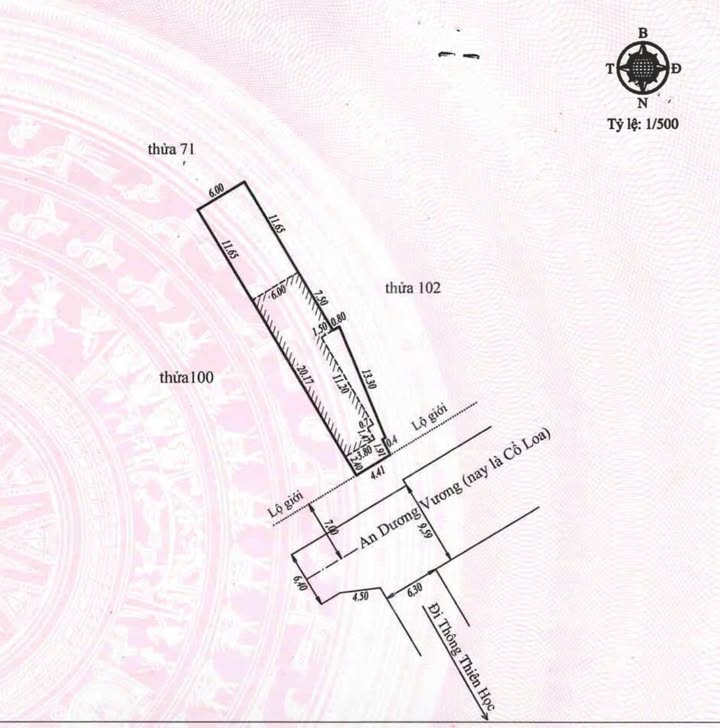 Nhà phố mặt tiền Cổ Loa, Đà Lạt 200m² giá 10.5 tỷ - Đầu tư sinh lời ngay!