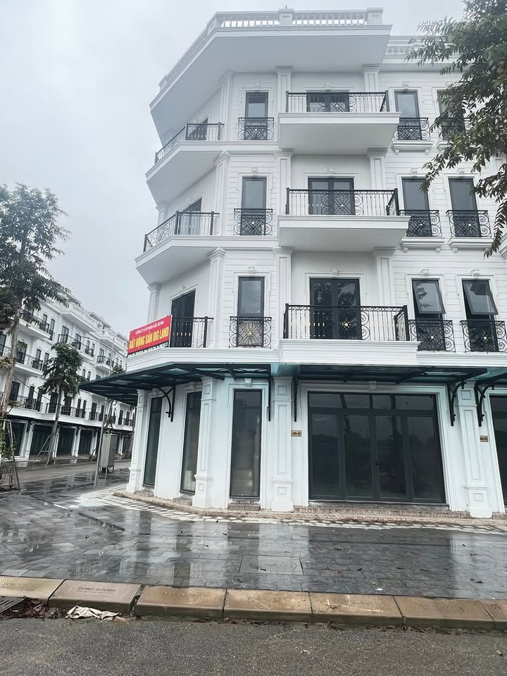 Đất KĐT Đông Dương, Hoài Đức 80m² giá 12 tỷ - Đầu tư sinh lời ngay!