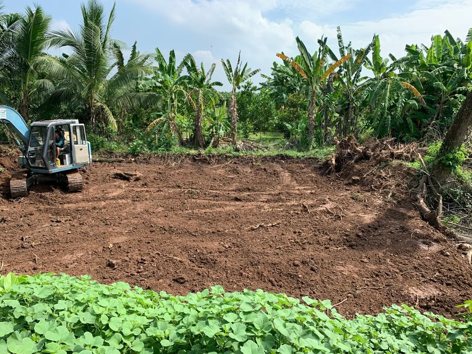 Đất mặt tiền Quốc lộ 1A, Tam Nông, Đồng Tháp 1050m² - Sổ đỏ chính chủ, giá tốt!