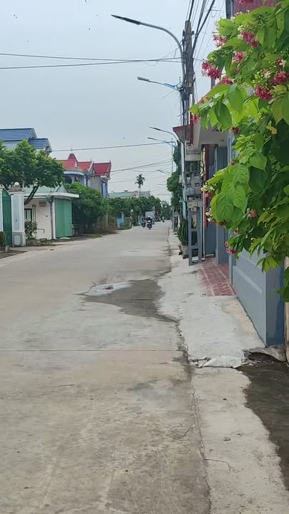 Đất nền mặt đường Tranh Xuyên, Đồng Tâm 93m² - Cơ hội đầu tư tuyệt vời!