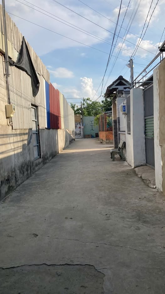 Đất trồng cây 365m² xã Tân Hiệp giá 2.95 tỷ - Đầu tư lý tưởng!