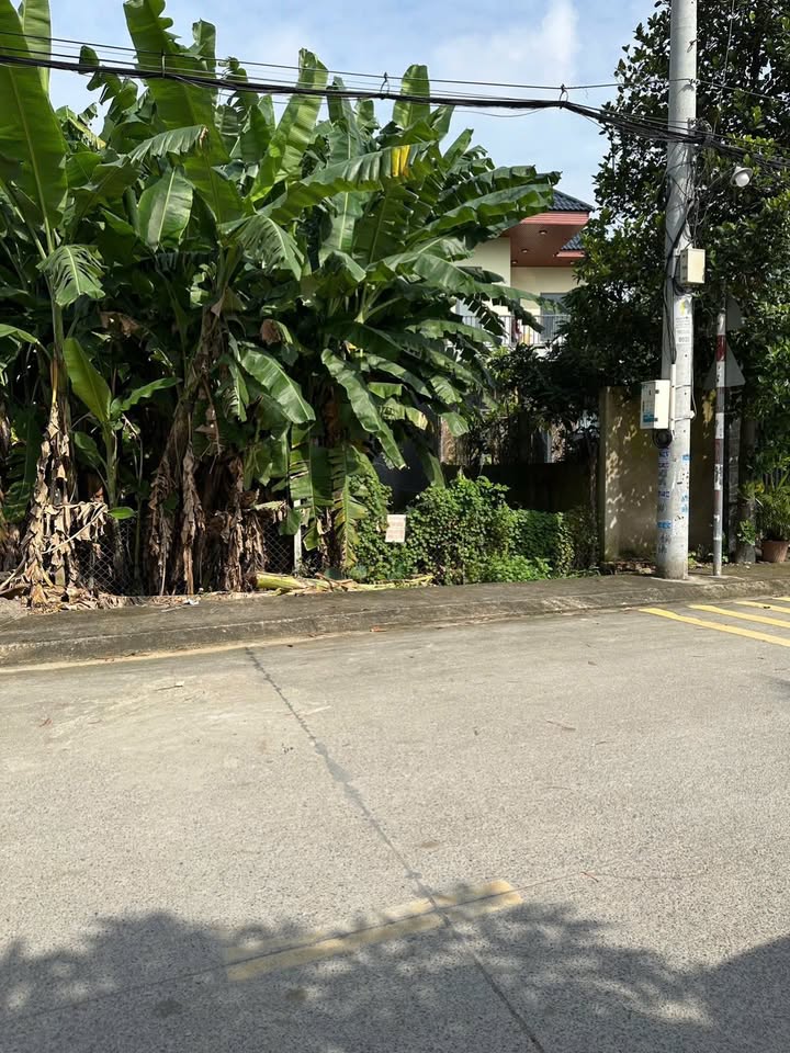 Đất mặt tiền TL37, phường An Phú Đông, quận 12 - Diện tích 126m², giá chỉ 5.3 tỷ!