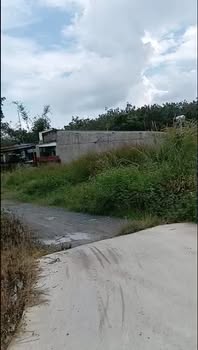 Đất Tân Định Bắc Tân Uyên 330m² giá 1.5 tỷ - Mặt tiền đường bê tông 7m