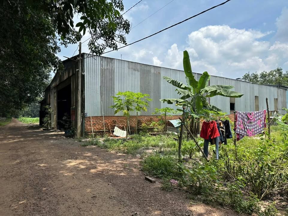 Đất thổ cư 300m² tại Tân Lập, Bắc Tân Uyên giá 6.2 tỷ - Cơ hội đầu tư sinh lời!