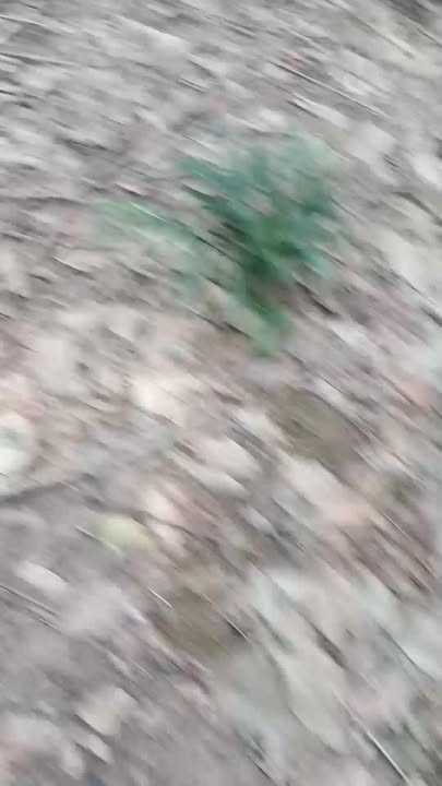 Đất nền Phước Vĩnh, Phú Giáo 32,400m² - Tiềm năng đầu tư sinh lời cao!