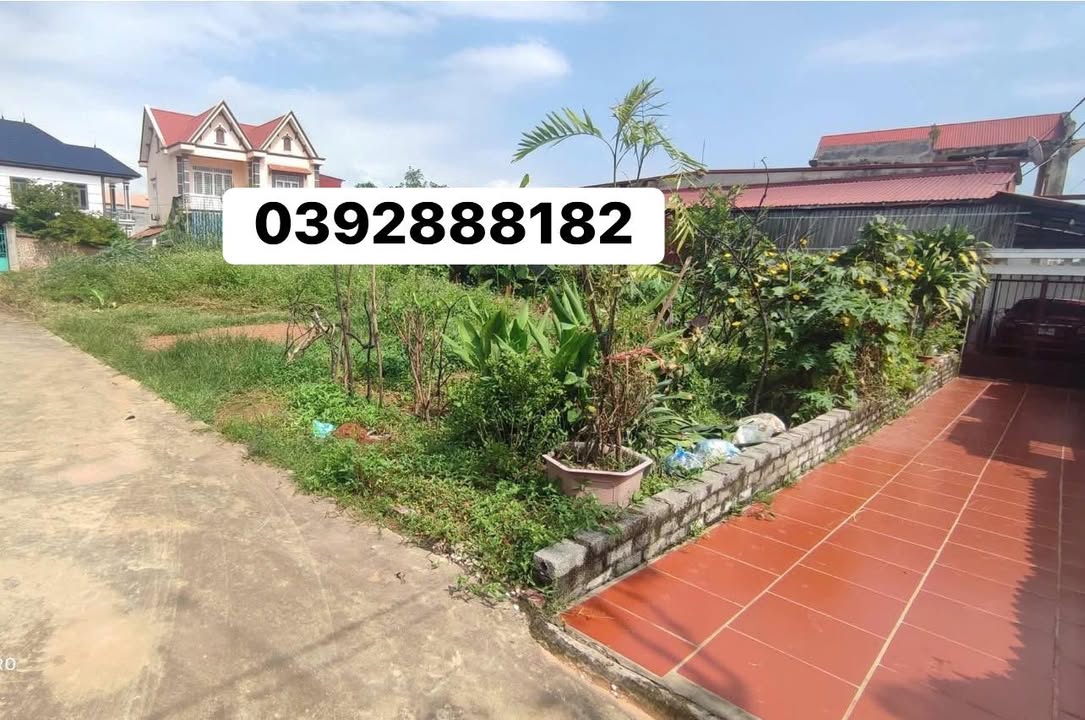 Đất nền Lục Nam 78m² giá 9xx triệu - Đầu tư sinh lời ngay!