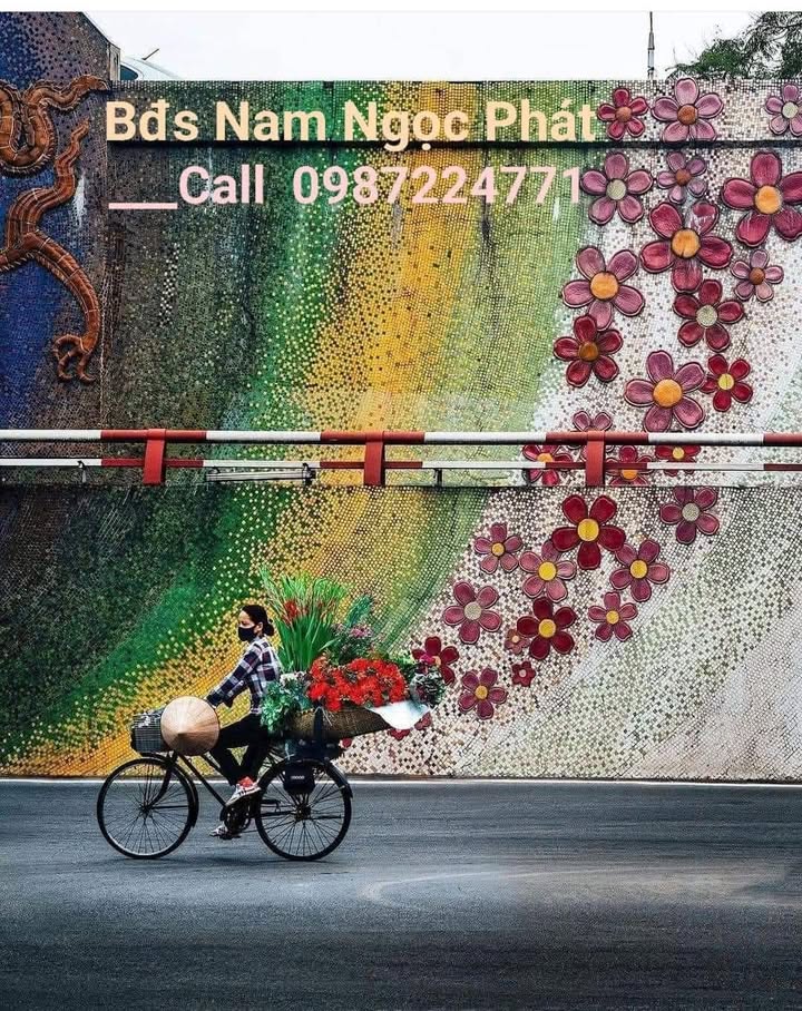 Nhà bán tại Thôn Ngọc Quế, Quỳnh Hoa 231m² - Chính chủ, giá tốt