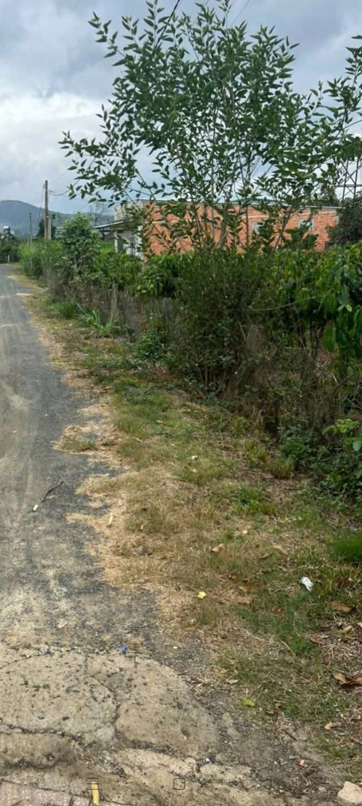 Nhà cấp 4 Tân Văn, Lâm Hà 920m² giá 1.2 tỷ - Cần bán gấp, thương lượng!