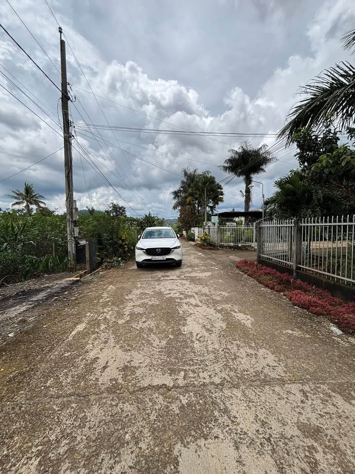 Đất nền Hiệp Thạnh, Đức Trọng 300m² giá 2.65 tỷ - Đầu tư lý tưởng!