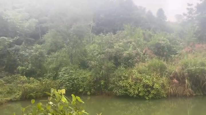 Đất trang trại 1ha8 tại Tam Thanh, Tân Sơn, Phú Thọ - Đầu tư sinh lời tuyệt vời!