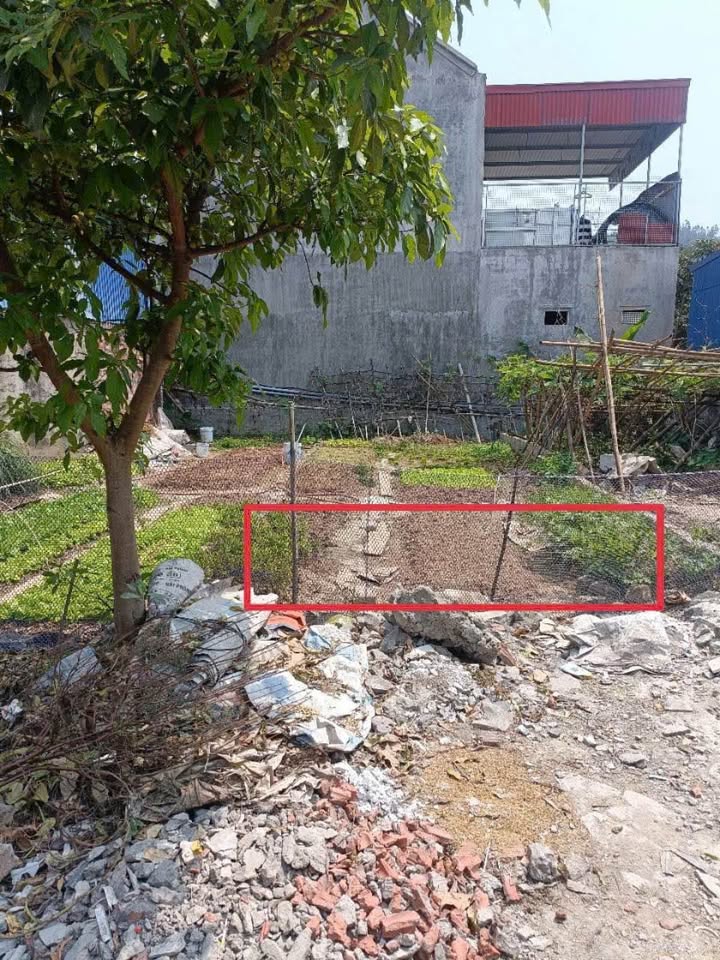 Đất thổ cư Thôn 4 xã Đông Sơn 65m² giá 1 tỷ - Ô tô vào tận nơi!