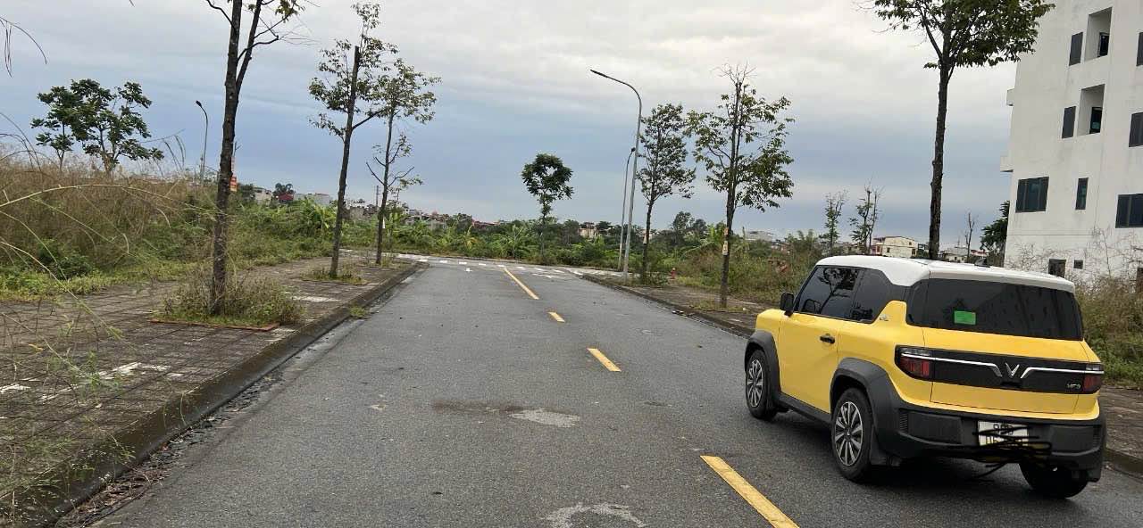 Đất nền Him Lam Thụ Ninh 85m² giá 7 tỷ - Đầu tư sinh lời từ quy hoạch lớn!