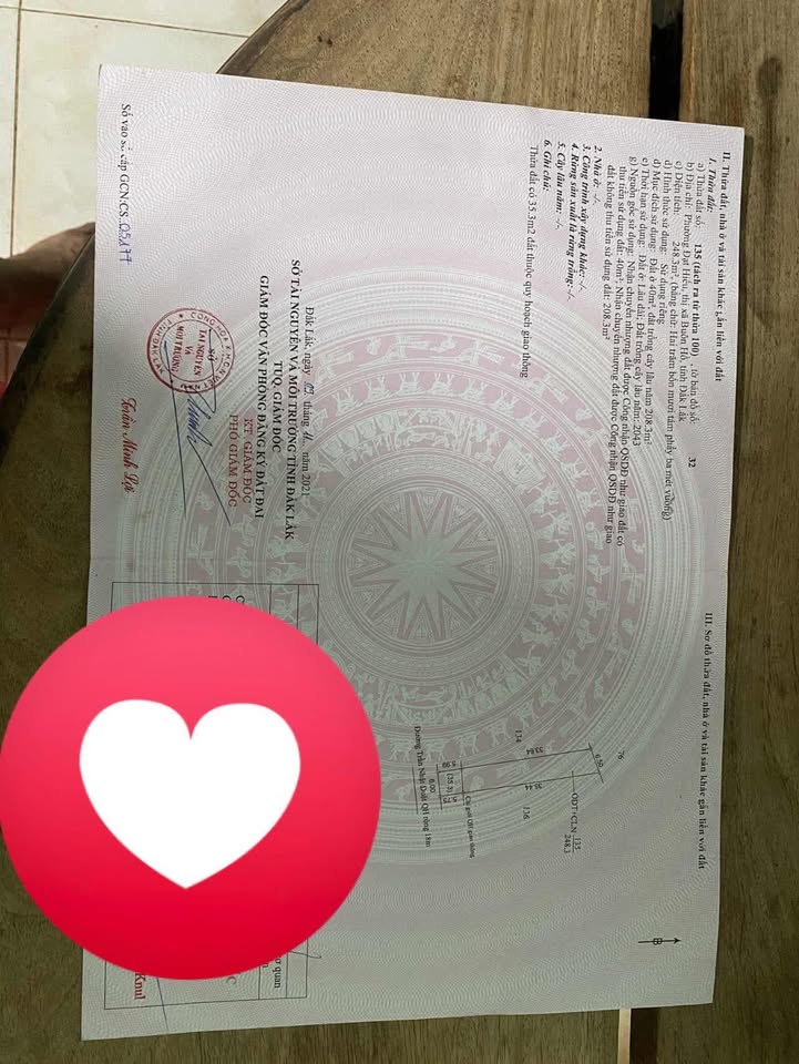 Đất mặt tiền Trần Nhật Duật, Buôn Hồ 234m² giá 1 tỷ - Cơ hội đầu tư hiếm có!