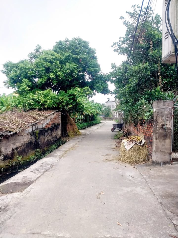 Nhà đẹp tại Ngọc Quế, Quỳnh Hoa 231m² - Sổ đỏ chính chủ, giá thỏa thuận!