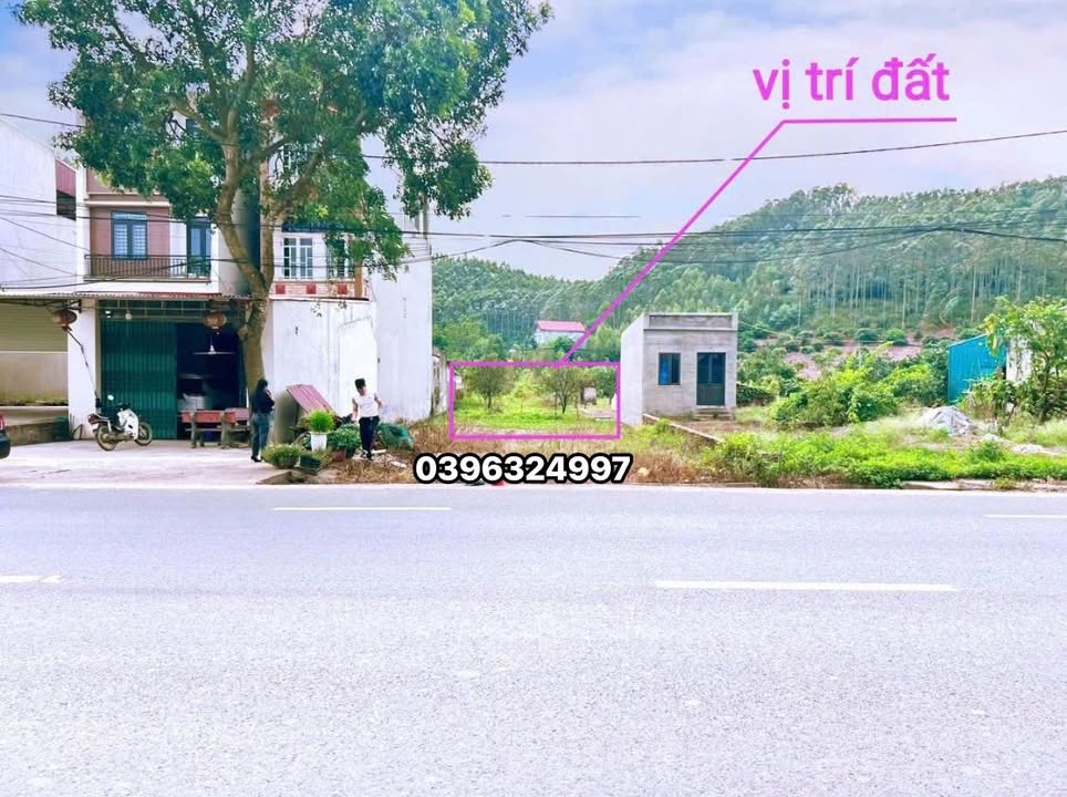 Đất mặt tiền QL31 Tiên Nha Lục Nam 120m² giá 2 tỷ - Cơ hội đầu tư sinh lời!