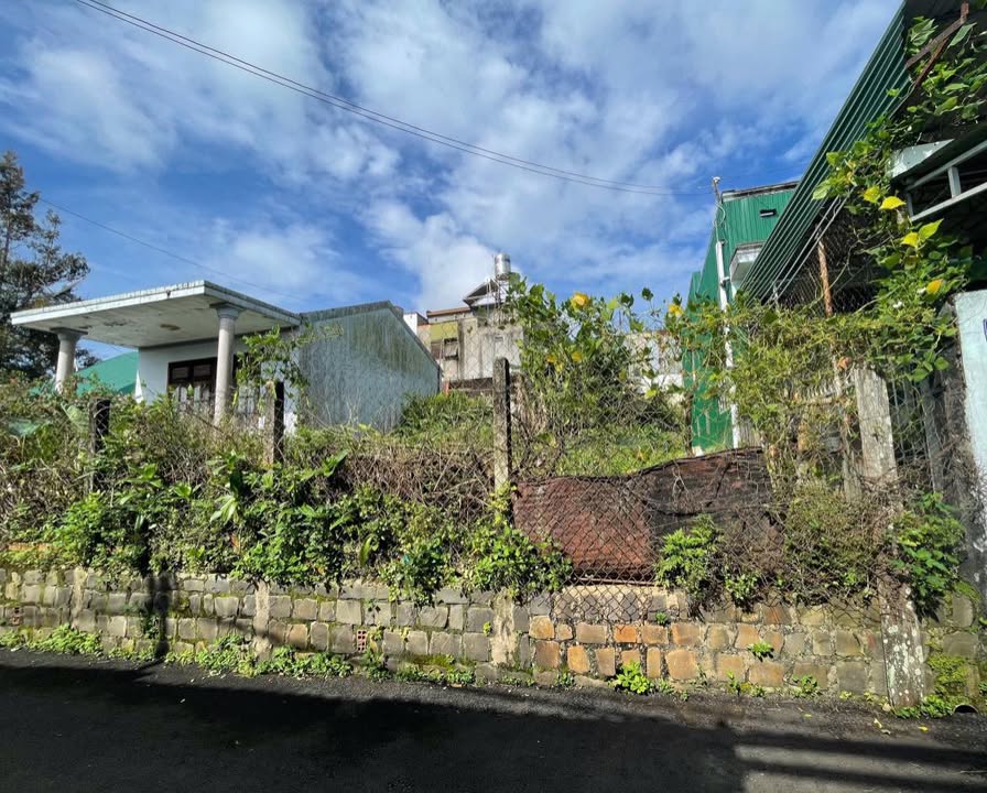 Đất nền Hẻm 135 Trần Quốc Toản Bảo Lộc 160m² giá 2.5 tỷ - Đã tách sổ riêng!