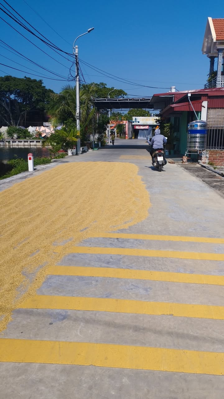 Đất nền Thắng Thủy, Vĩnh Bảo, Hải Phòng 70m² - Cơ hội đầu tư hấp dẫn!