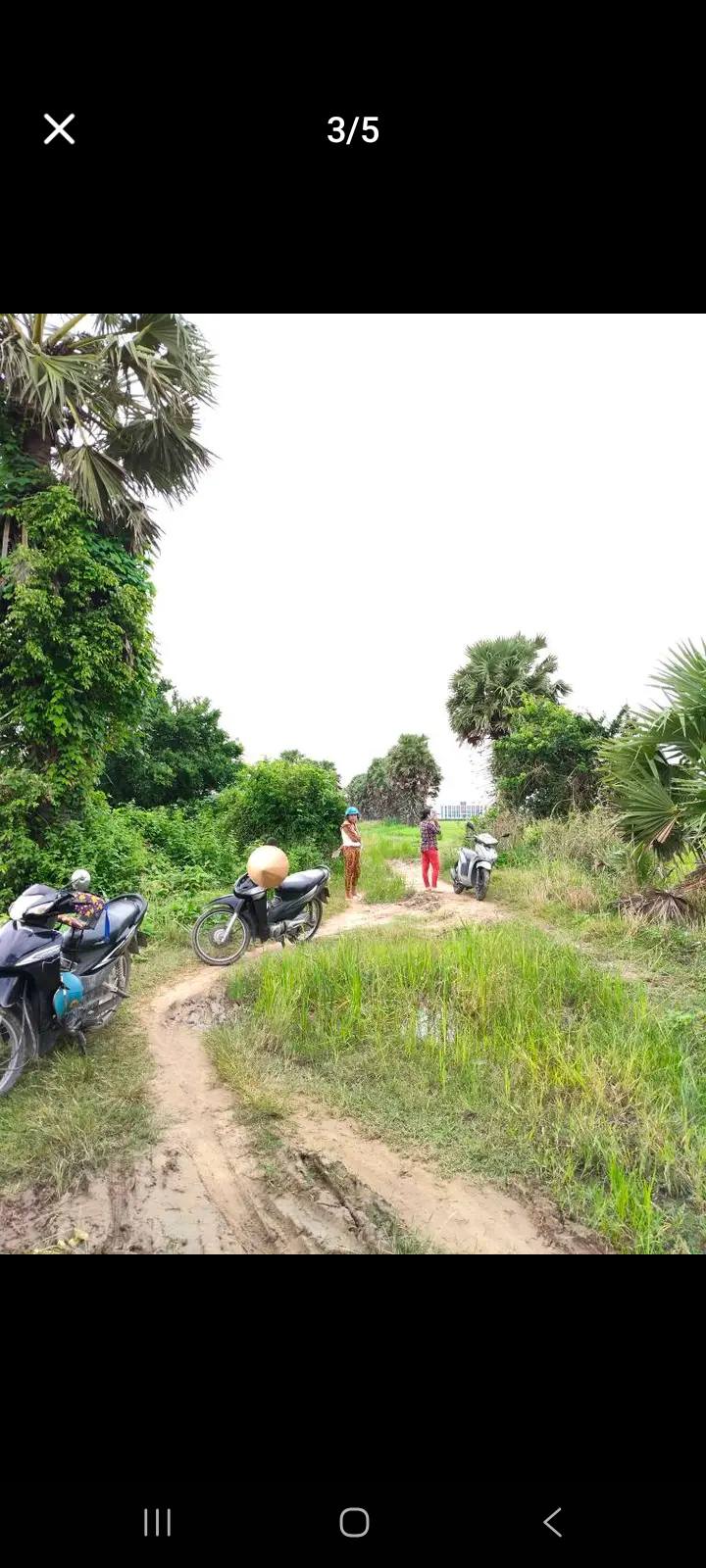 Đất lúa mặt tiền đường Bờ Lũy, 1890m² giá 699 triệu - Cơ hội đầu tư hấp dẫn!