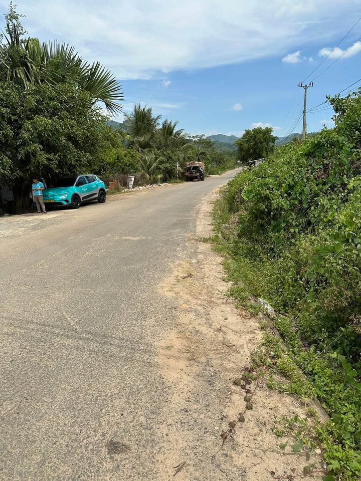 Đất mặt tiền TL8C Khánh Vĩnh 646m² giá chỉ 450 triệu - Đầu tư sinh lời ngay!