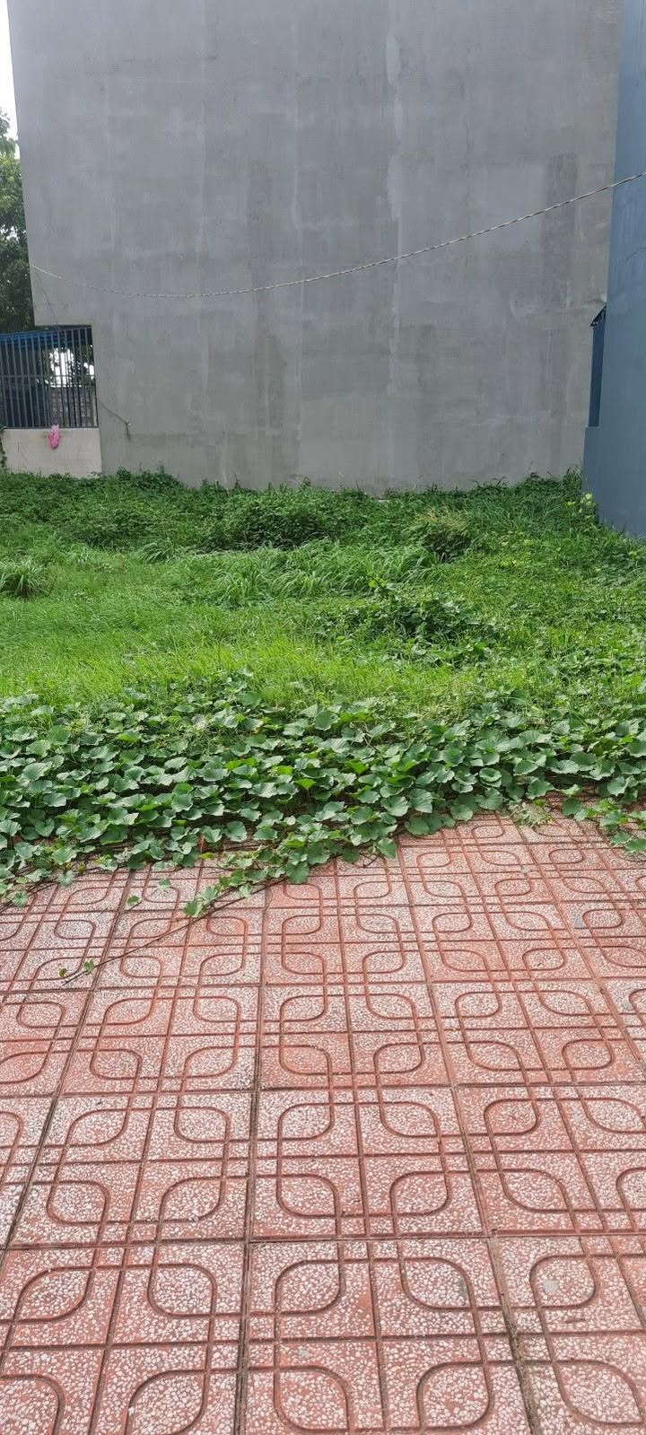 Đất Hiệp Bình Chánh 65.8m² giá 5.5 tỷ - Hai mặt tiền xe hơi, đầu tư sinh lời!