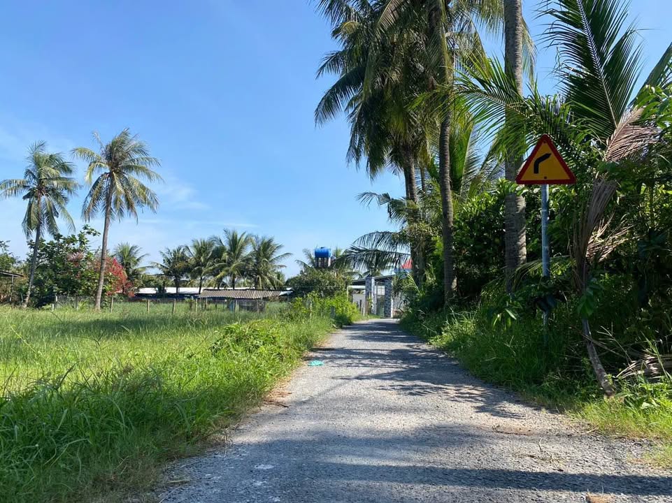 Đất nền liền kề mặt tiền đường Lê Thị Lệ Chi, 154m² - Giá chỉ 320 triệu!