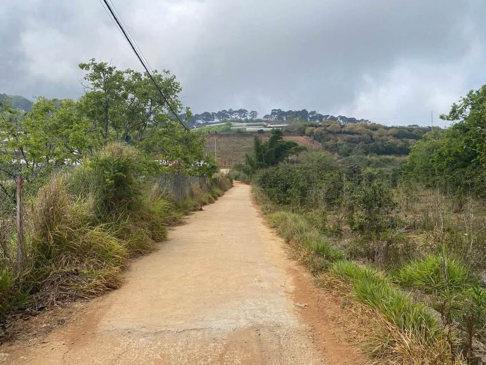 Đất nền Xuân Trường Đà Lạt 3519m² giá 10 tỷ - View vườn hồng tuyệt đẹp!