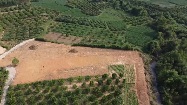 Đất Farm Thọ Sơn Lục Nam Bắc Giang 3937m² giá 2.25 tỷ - Đầu tư sinh lời lý tưởng!