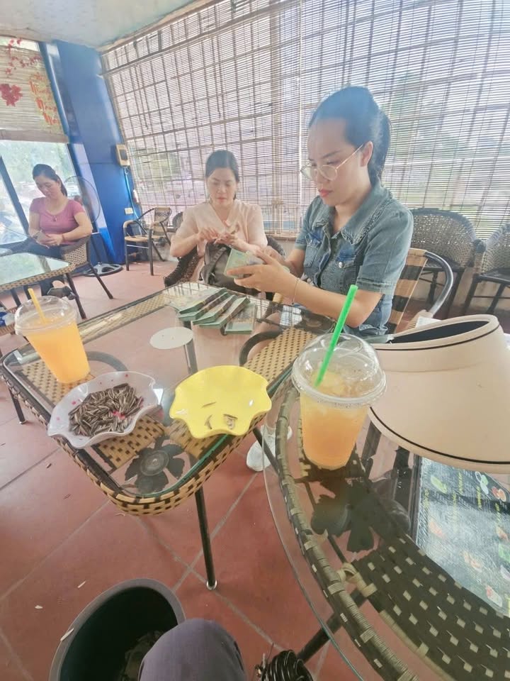 Đất nền chính chủ Lục Nam 250m² giá 800 triệu - Đầu tư sinh lời ngay!