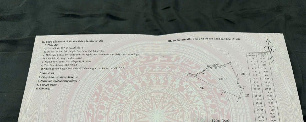 Đất Lộc Đức Bảo Lâm 24.480m² giá 1.62 tỷ - View đẹp, sổ hồng chính chủ!