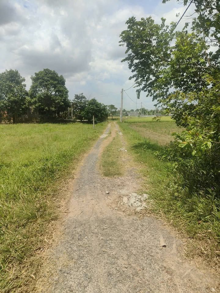 Đất thổ cư 5x33m tại ấp Tân Bình, Đức Hoà - Giá 800 triệu, sổ hồng chính chủ!