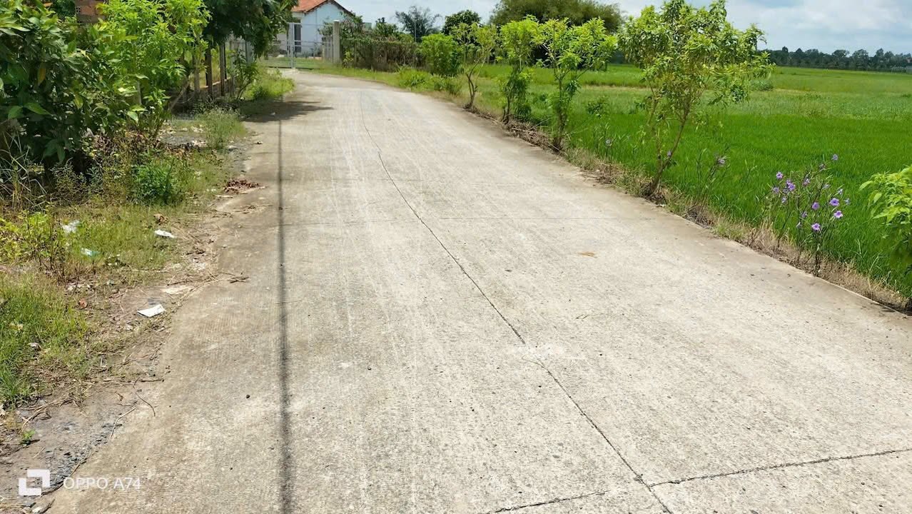 Đất vườn 1664m² mặt tiền đường Võ Văn Điều, Củ Chi - Giá chỉ 1.997 tỷ