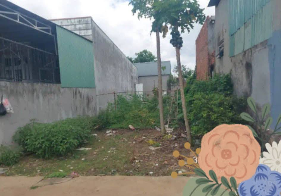 Đất nền Tân Xuân, Đồng Xoài 131m² giá chỉ 800 triệu - Cơ hội đầu tư hấp dẫn!