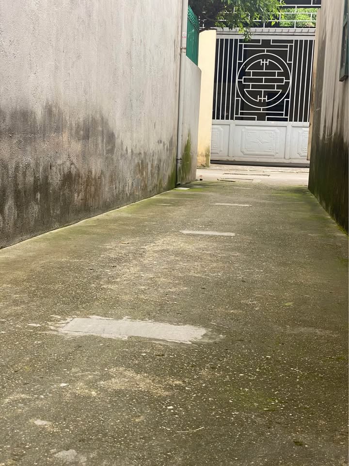 Đất nền chính chủ Đàm Lộc, Tân Bình 57,6m² giá 1 tỷ - Vị trí đắc địa cho đầu tư!