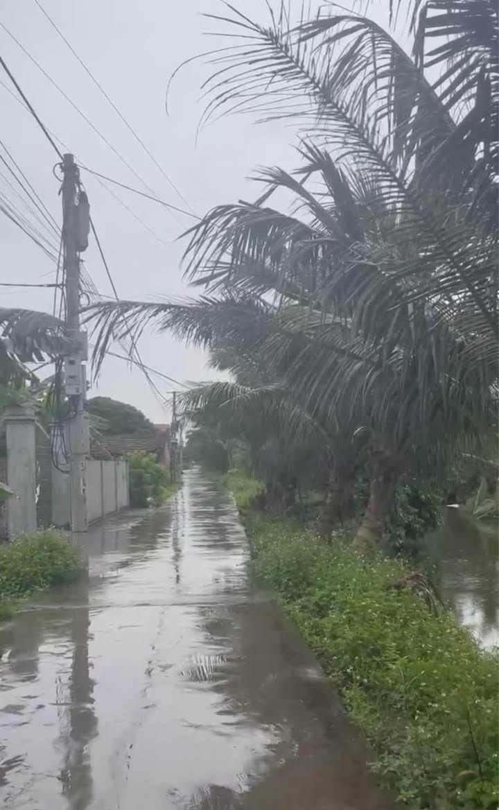 Đất nền Tân Tiến Gia Lộc 77m² giá 700 triệu - Cơ hội đầu tư hấp dẫn!