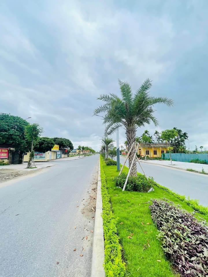 Nhà cấp 4 Lương Như Hộc Hải Tân 40m² giá 2 tỷ - Kinh doanh hợp lý!