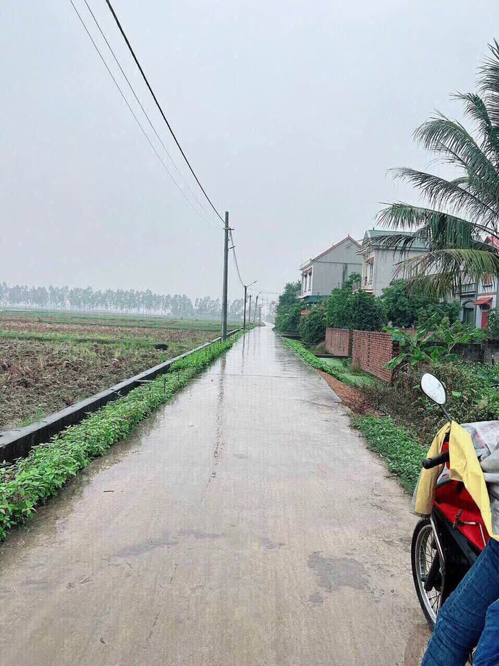 Đất lô góc tại Xóm Đông, Hồng Lạc, Thanh Hà 174m² giá 1.4 tỷ - Cơ hội đầu tư hấp dẫn!