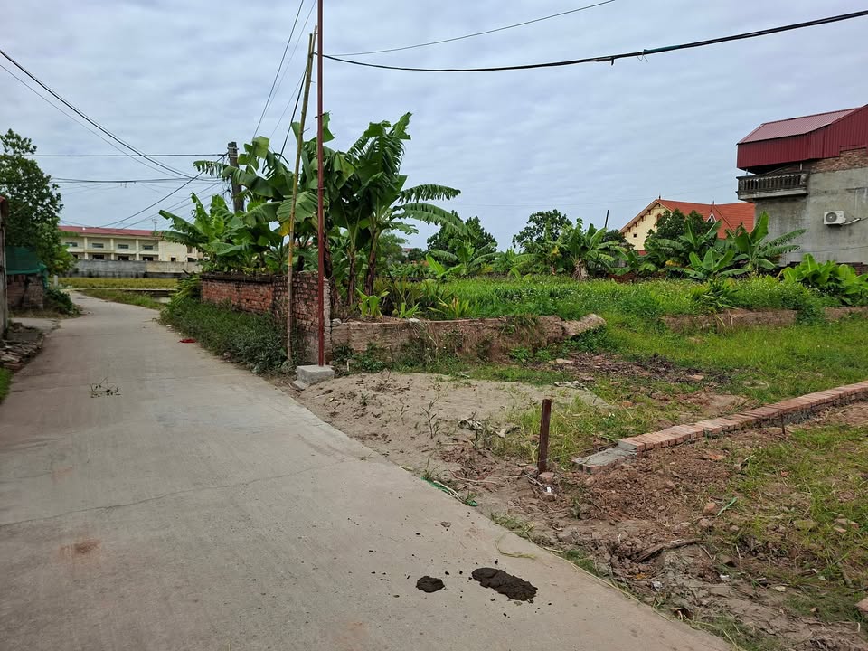 Đất nền Đại Lai - 107m² giá 1 tỷ - Đầu tư sinh lời ngay!