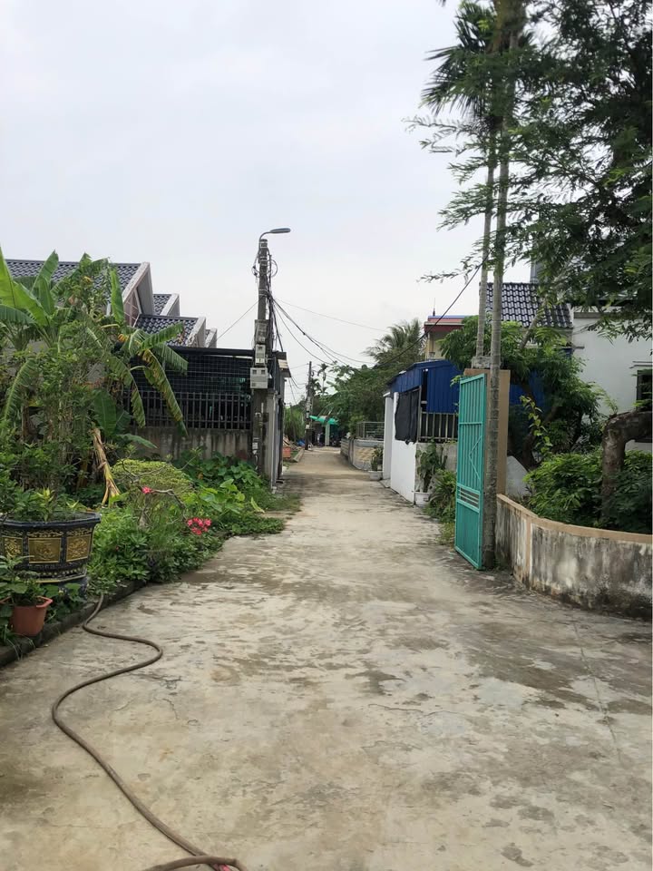 Đất chính chủ tại Phù Liễn, An Dương 55m² chỉ 900 triệu - Đầu tư sinh lời ngay!