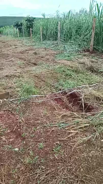 Đất thổ cư mặt đường tỉnh lộ Chư Prông 434m² giá 420 triệu - Cơ hội đầu tư hấp dẫn!