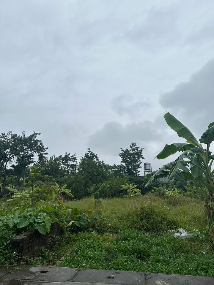 Đất nền Khu phố Bình Cầu, Mão Điền 74m² giá 1.35 tỷ - Đầu tư sinh lời ngay!